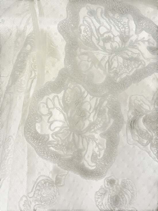 NWT Express Embroidered Floral Lace with Swiss Dot Sleeves and Cami Insert - Picture 4 of 9